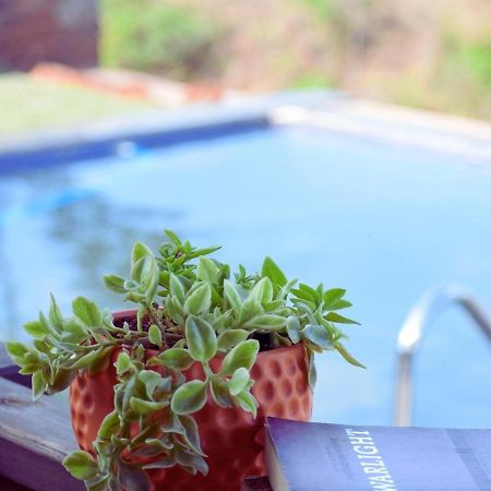 Waterrock Stays The Mango Tree Chalet Pune Ngoại thất bức ảnh