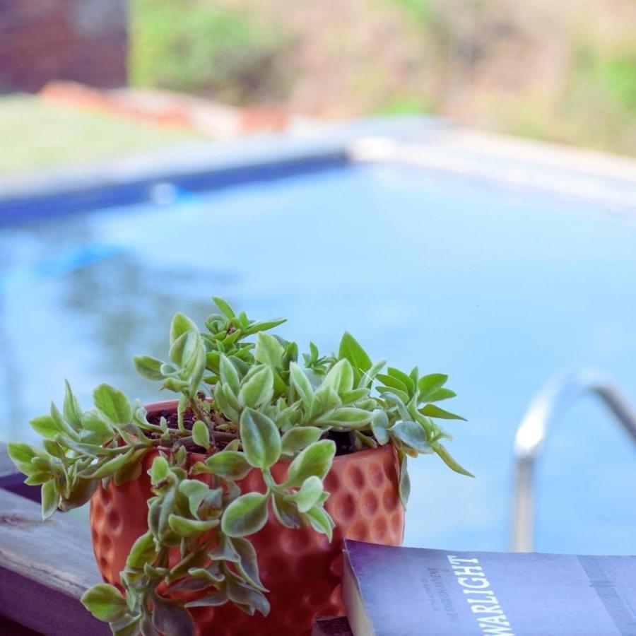 Waterrock Stays The Mango Tree Chalet Pune Ngoại thất bức ảnh